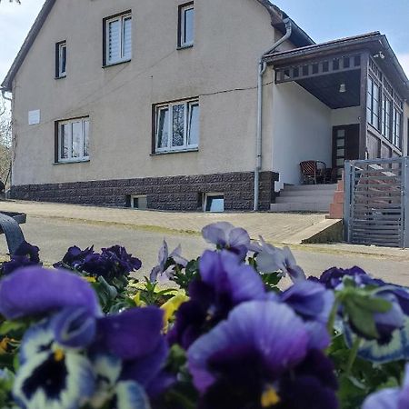 Agroturystyka Nad Bobrem Pilchowice Kültér fotó
