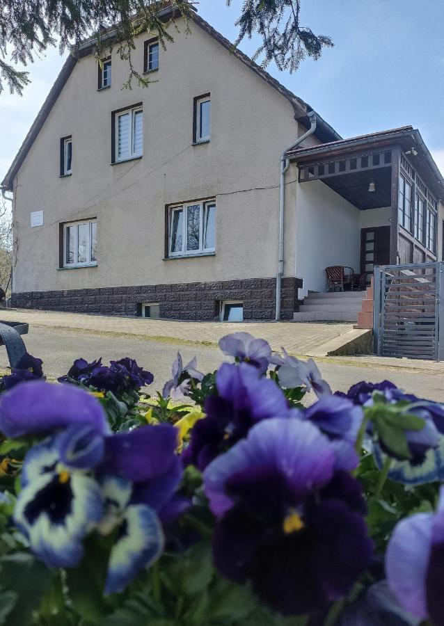 Agroturystyka Nad Bobrem Pilchowice Kültér fotó