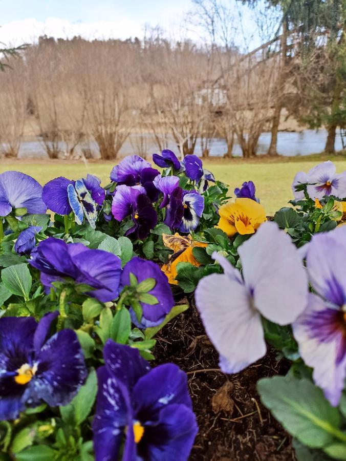 Agroturystyka Nad Bobrem Pilchowice Kültér fotó