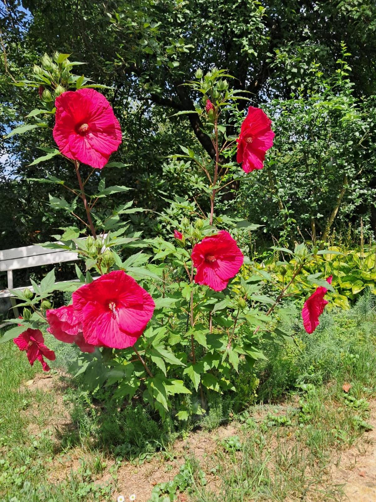 Agroturystyka Nad Bobrem Pilchowice Kültér fotó